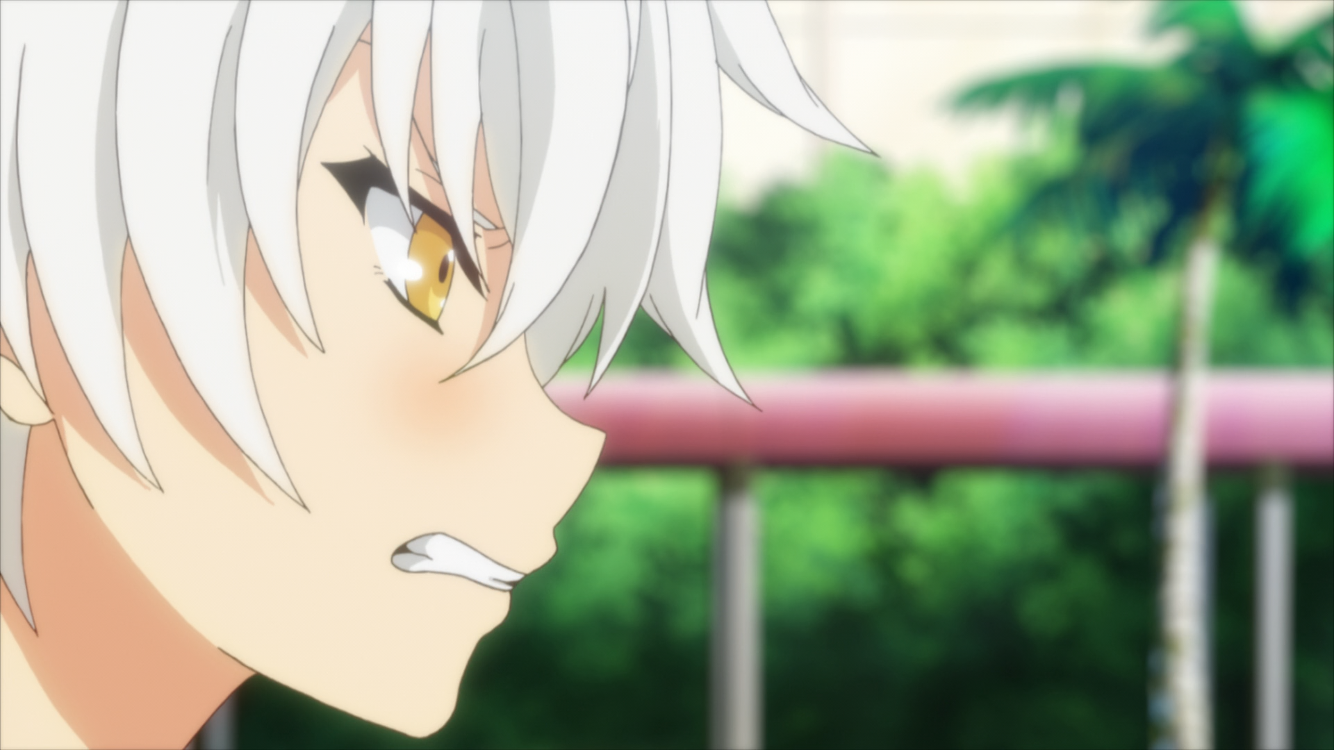 Senran Kagura: Estival Versus - Shoujo-tachi no Sentaku (Anarchy Subs)