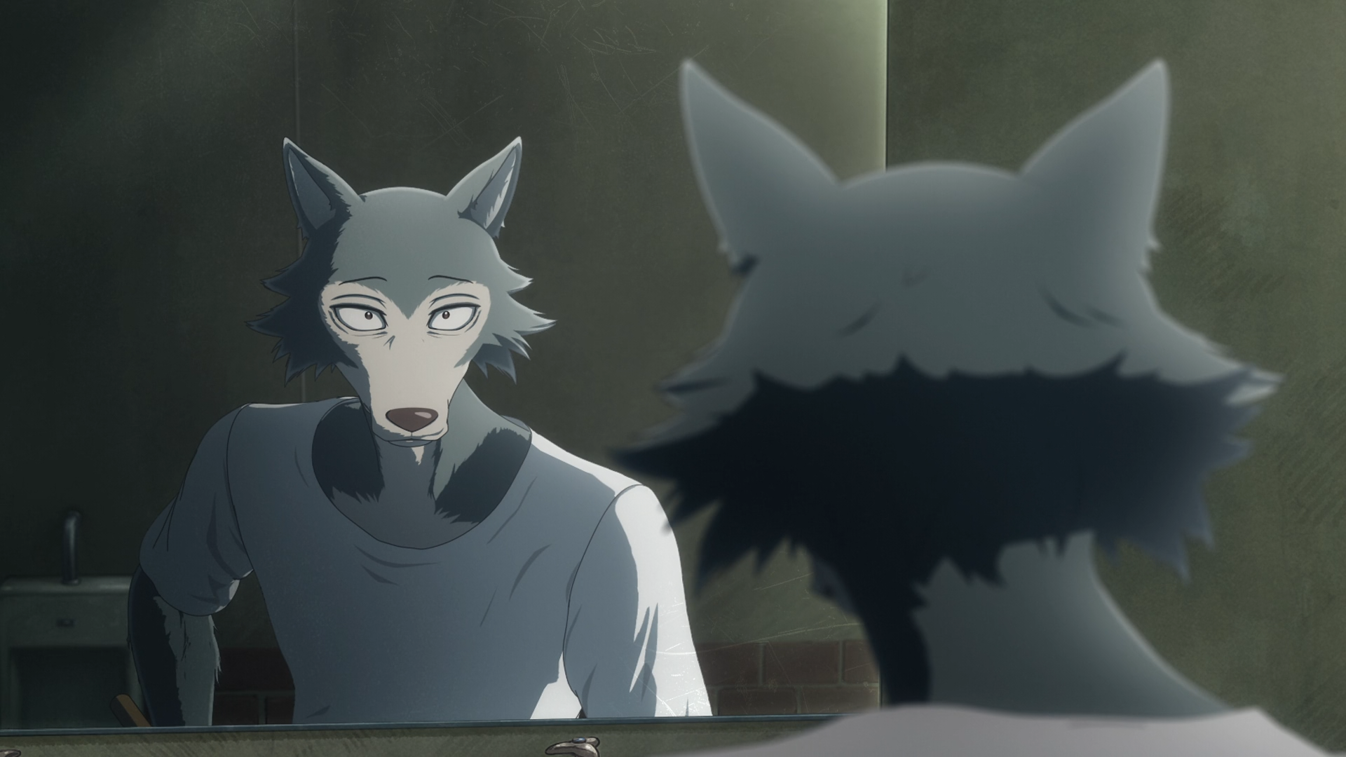 Beastars 2nd Season (Ñyuum)