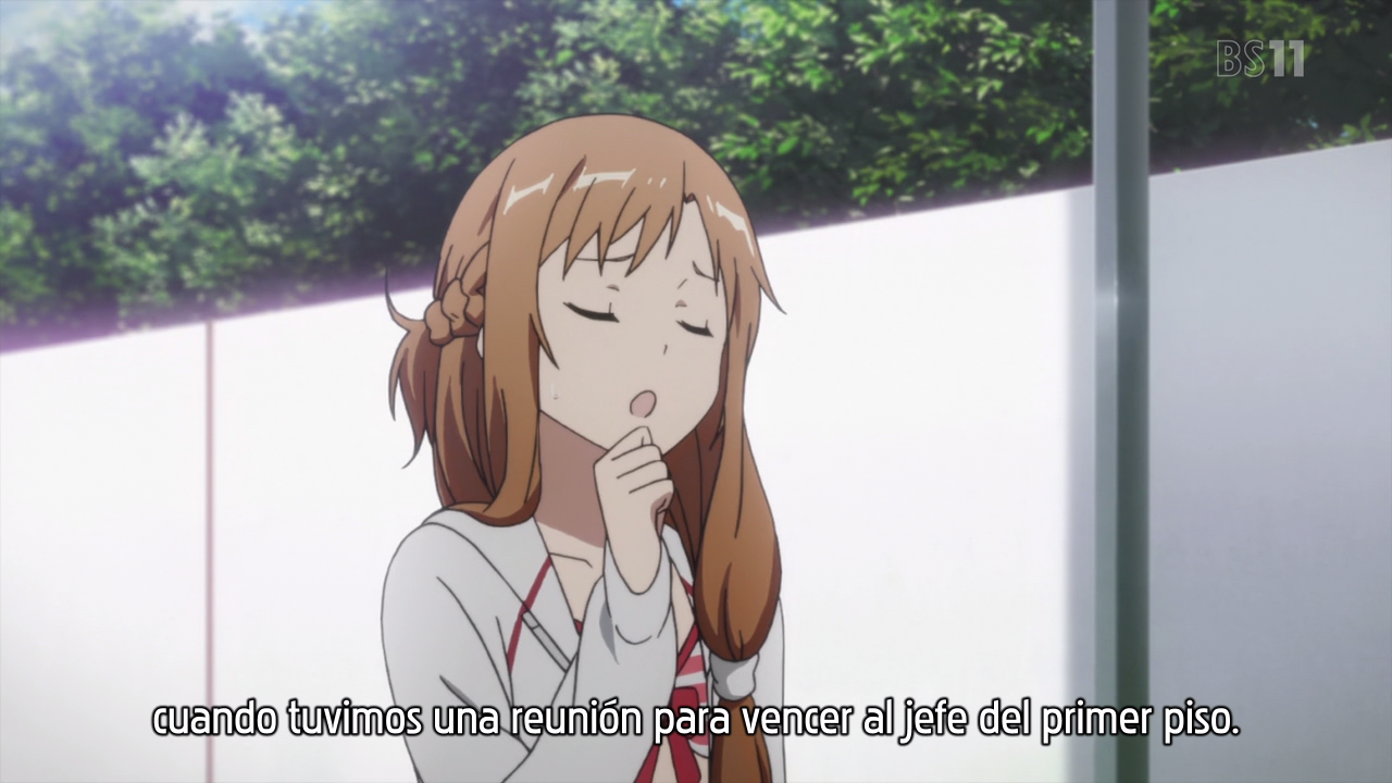 Sword Art Online: Extra Edition (Hoshizora)