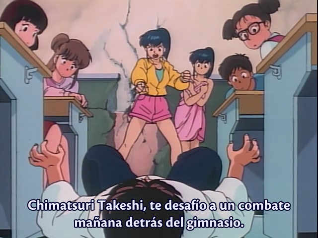 The Samurai (AniMugen Fansub)