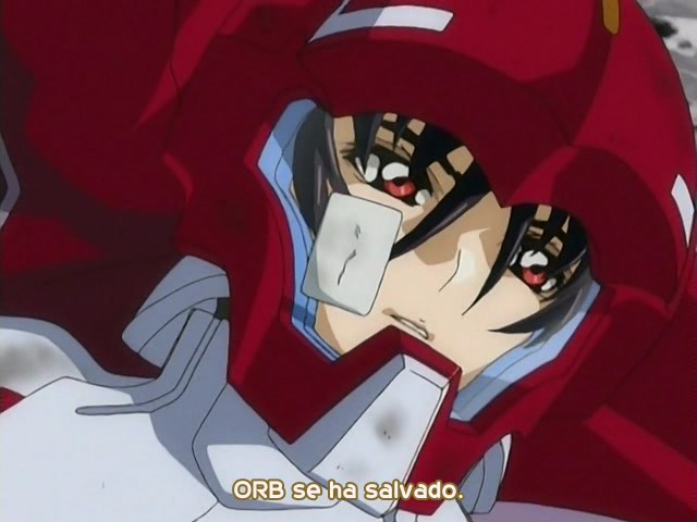 Mobile Suit Gundam SEED DESTINY Final Plus: The Chosen Future (Anime Underground)