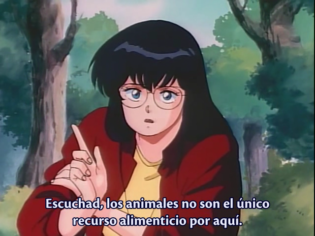 The Samurai (AniMugen Fansub)