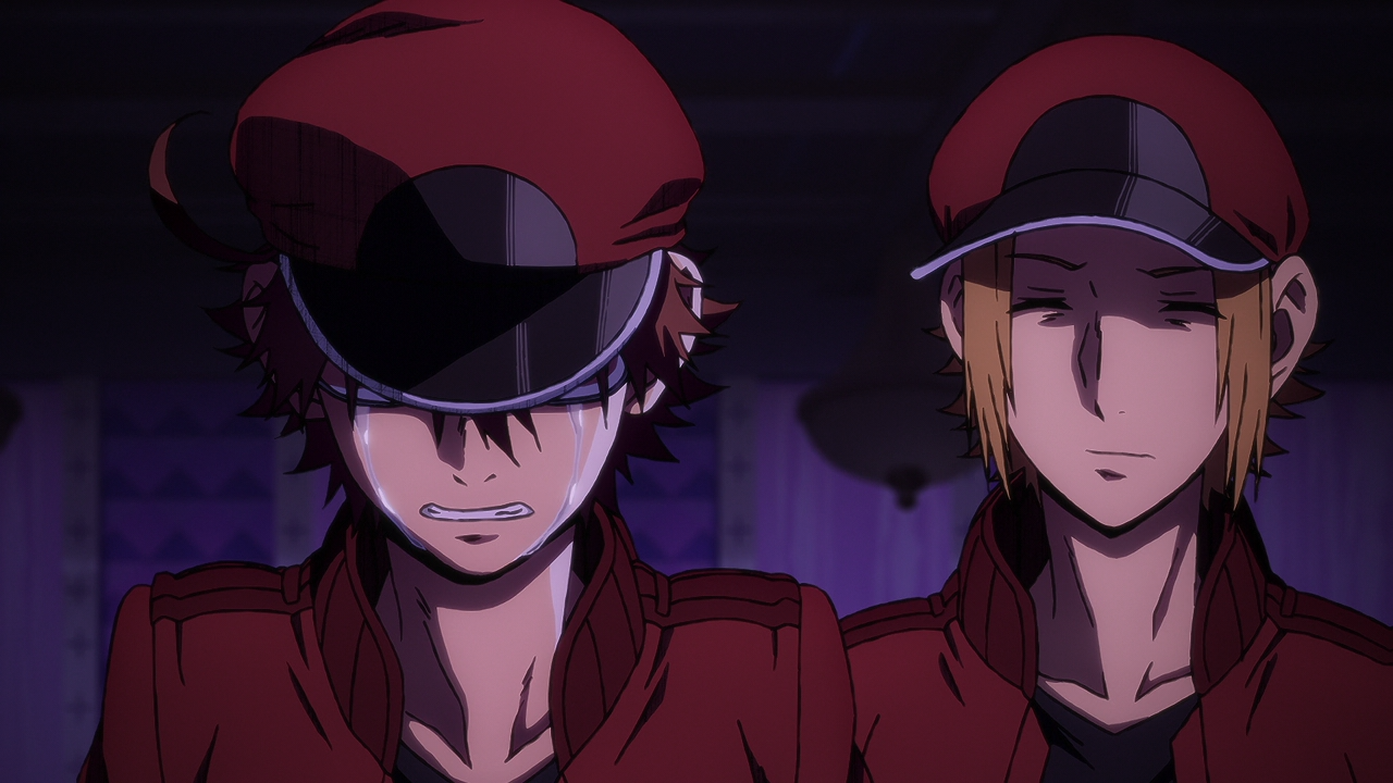 Hataraku Saibou Black (TV) (Anarchy Subs,Seinen no Fansub)