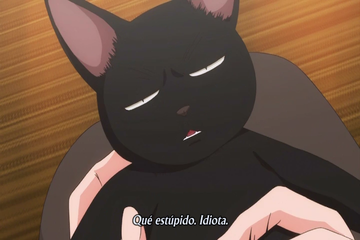 6 Lovers (AniMugen Fansub)