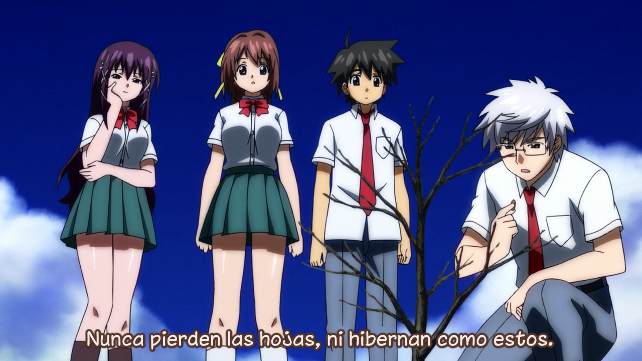 Sora no Otoshimono Forte (Anime Rakuen)