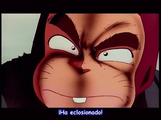 Ranma 1/2: Chou Musabetsu Kessen! Ranma Team VS Densetsu no Houou (Gokuraku Fansub)