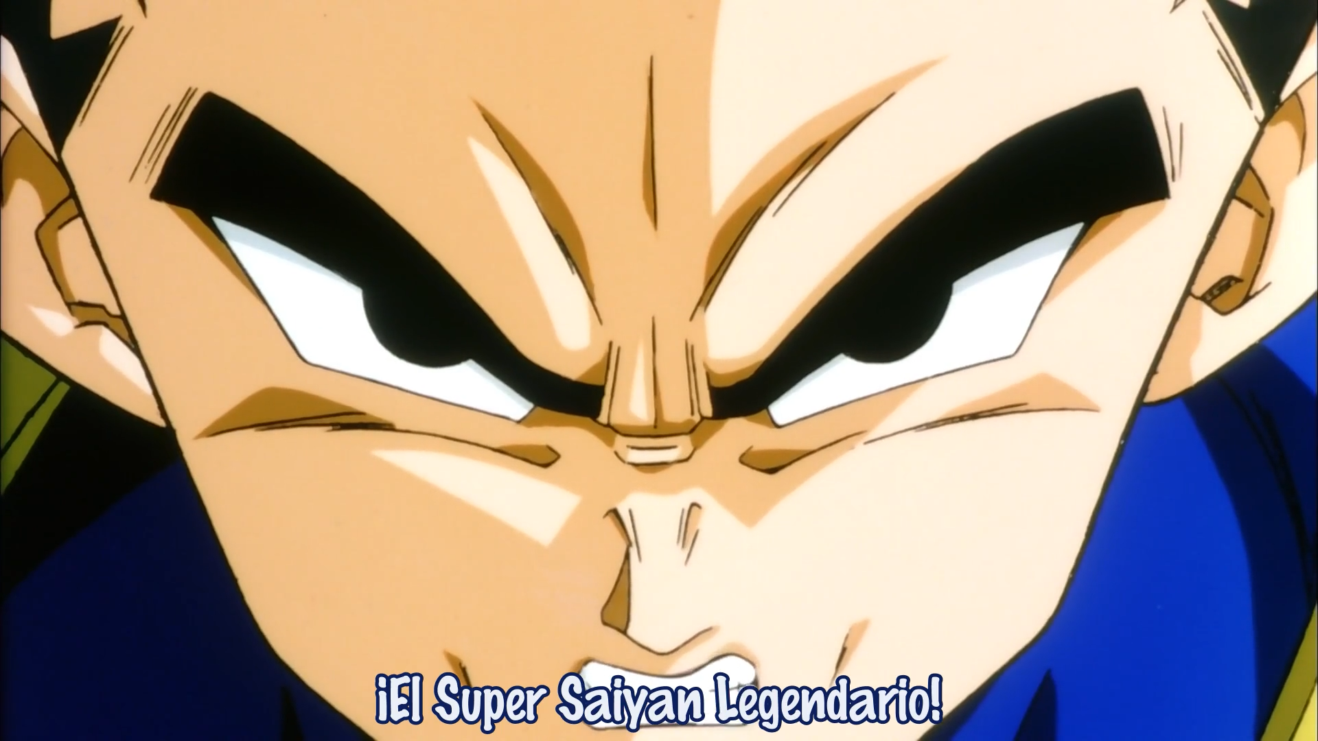 Dragon Ball Z: Moetsukiro!! Nessen - Ressen - Chou Gekisen (Fujiwara no Fansub)