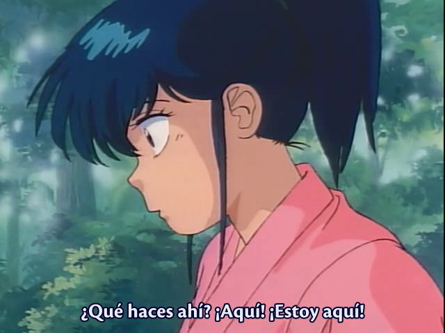 The Samurai (AniMugen Fansub)