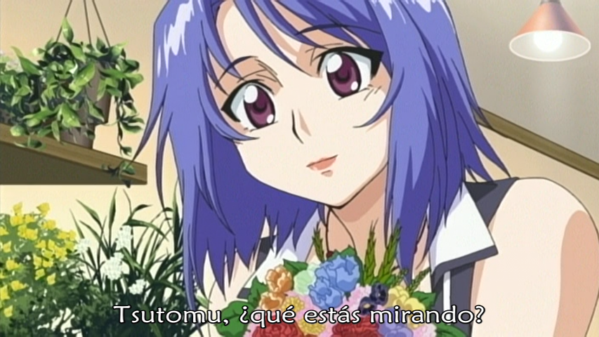 Aniyome wa Ijippari (AniMugen Fansub)