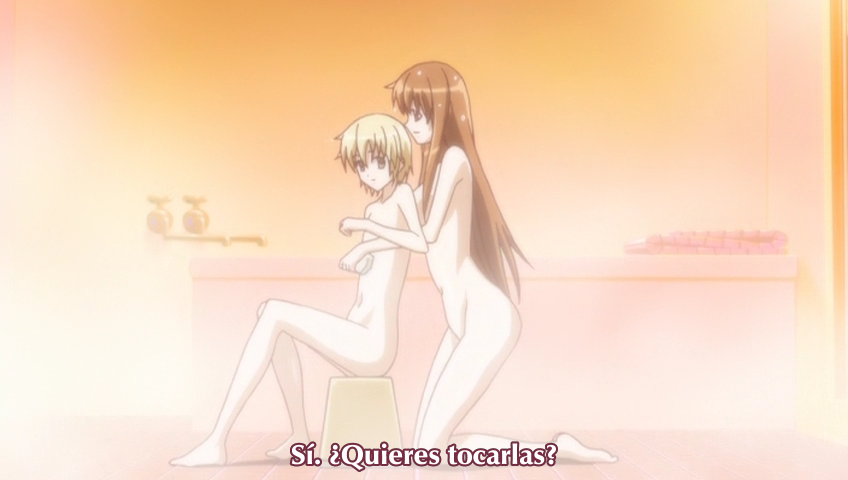 Aki-Sora (Nanikano Fansub)