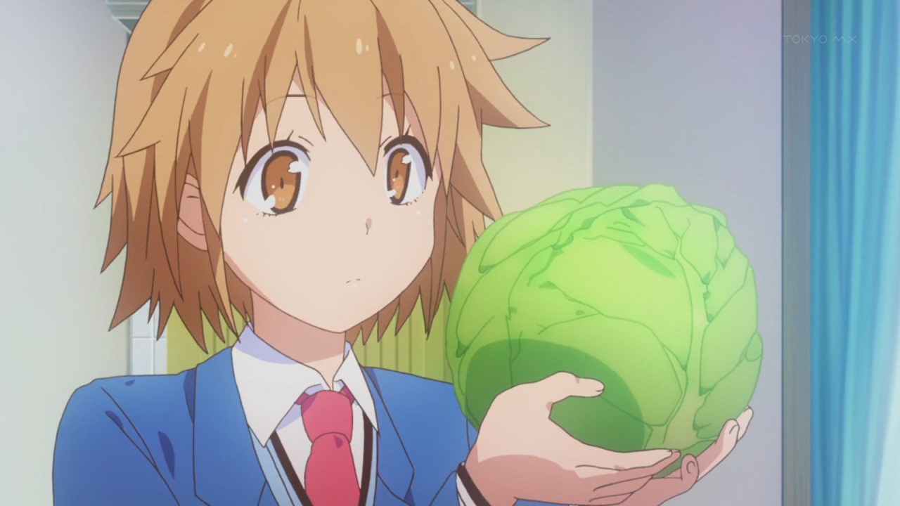 Sakura-sou no Pet na Kanojo (Animexz no Fansub)