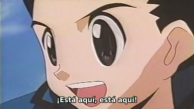 Hunter x Hunter Pilot (Hiyono, Shindou-Anime, KDK, runge)