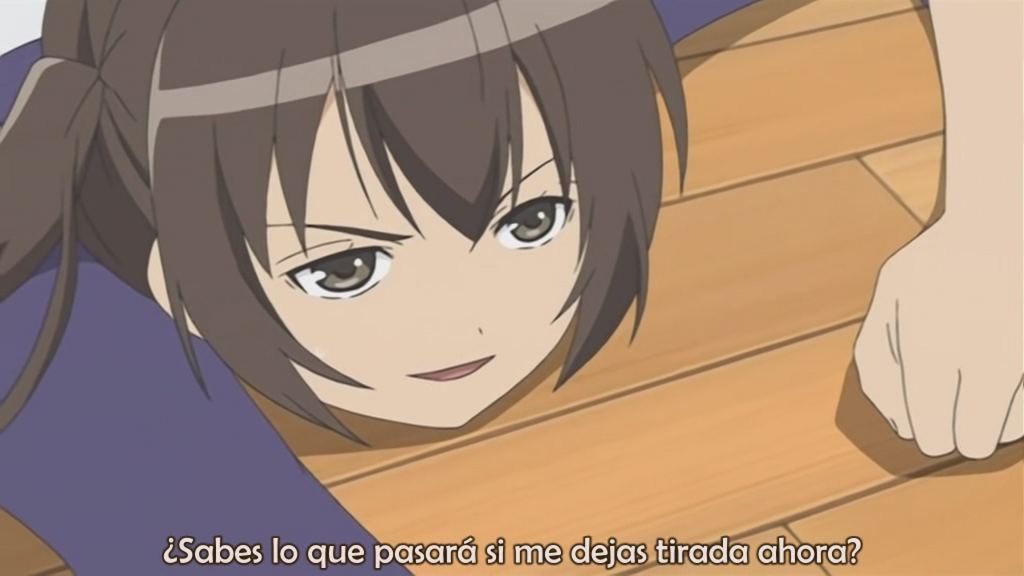 Minami-ke (Anime Underground)