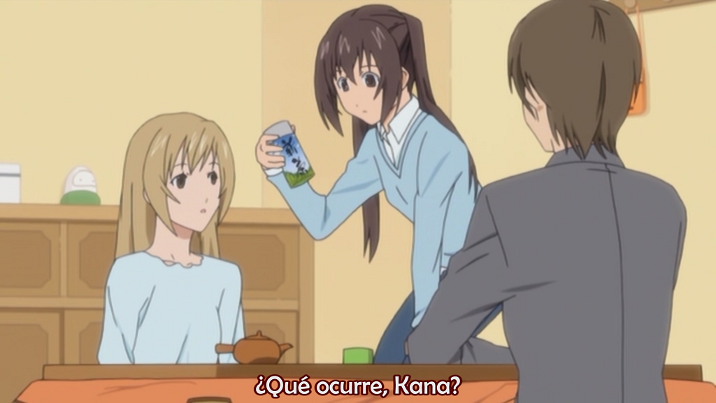 Minami-ke Okaeri (Anime Underground)