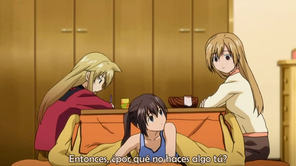 Minami-ke Okawari (Anime Underground)