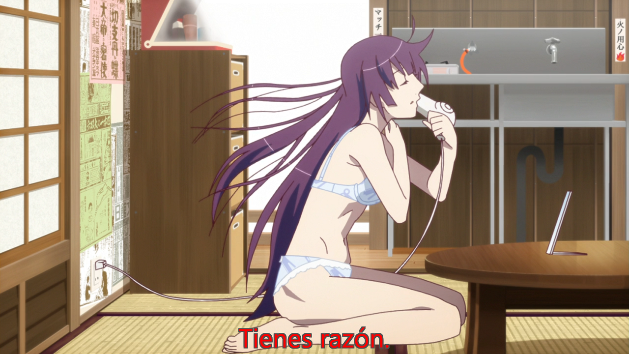 Bakemonogatari (Sabishii Subs)