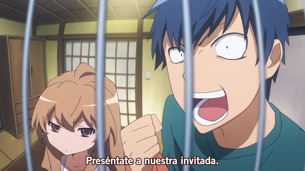 Toradora! (Anime Underground, Tanoshii Fansub)