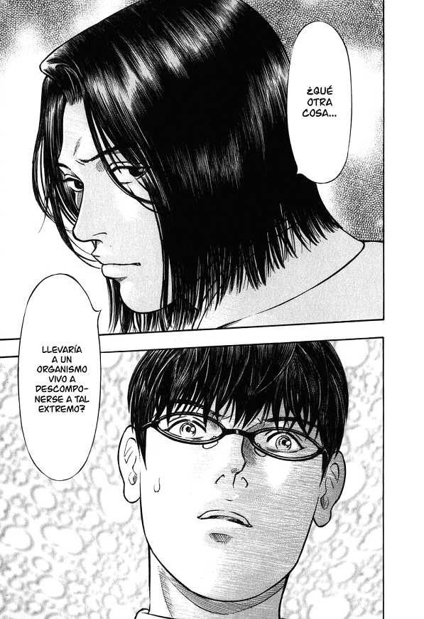 Emerging (Araña Fansub)