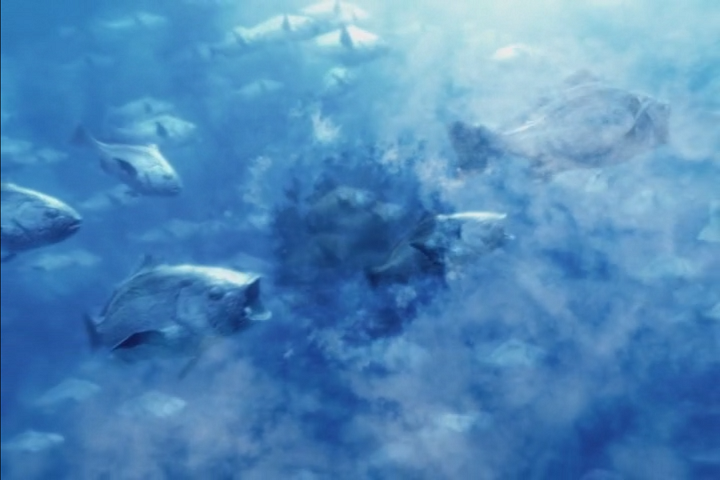 Mezame no Hakobune (niizk)