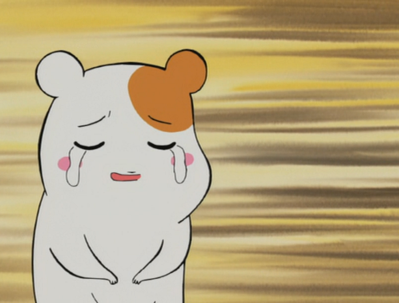 Oruchuban Ebichu (Nanikano Fansub)
