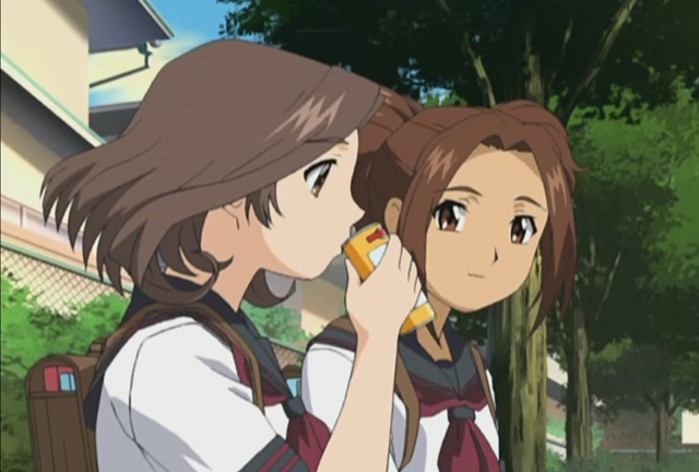 Casi 15 años: Melodía juvenil (AnimeHD)