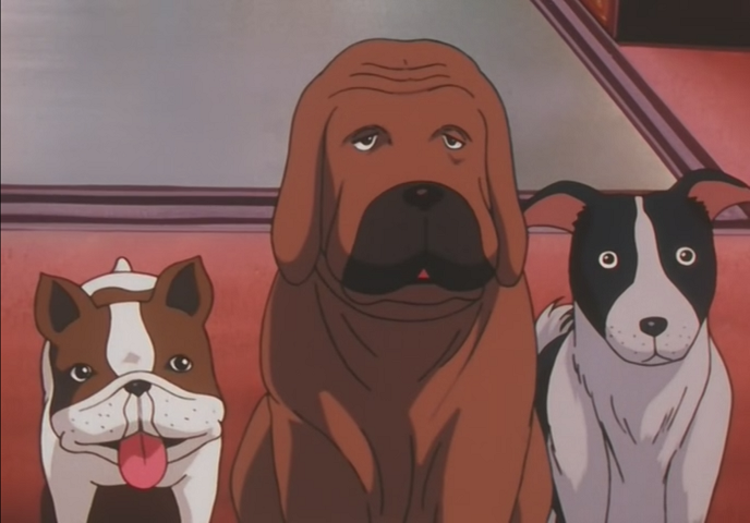 Hunter x Hunter OVA (AnimeHD)