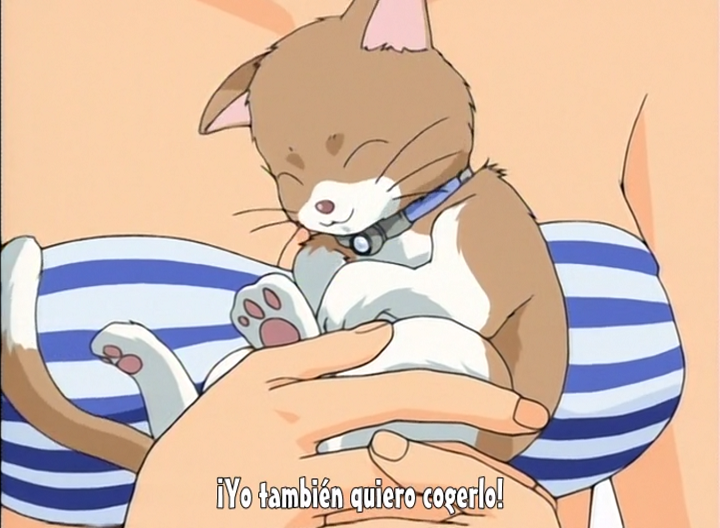 Taiho Shichau zo Special (Estás Arrestado: Mini Specials) (El Mejor Anime Fansub)