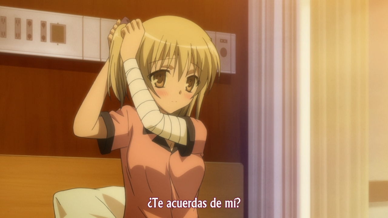 Kore wa Zombie desu ka? (Warota)