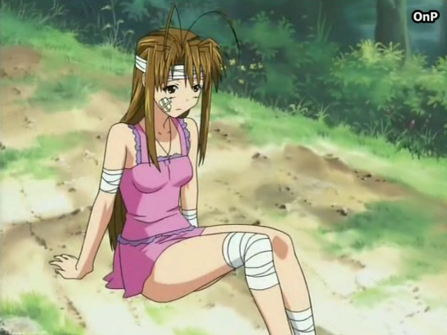 Love Hina Again (Otaku no Power)