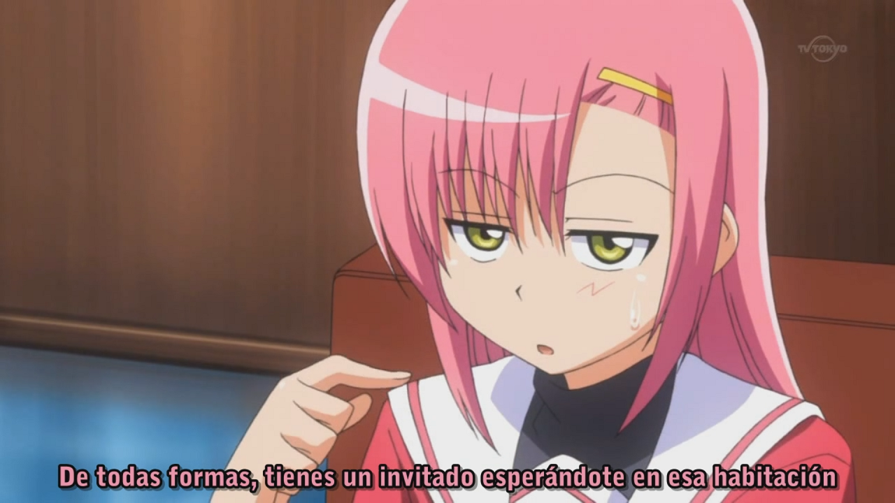 Hayate no Gotoku!! (Hitori no Fansub)