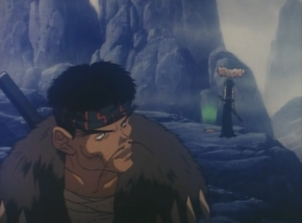 Ninja Cadets (Saehara Fansub)