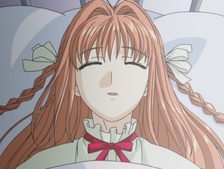 Kimi ga Nozomu Eien (Nanikano Fansub)