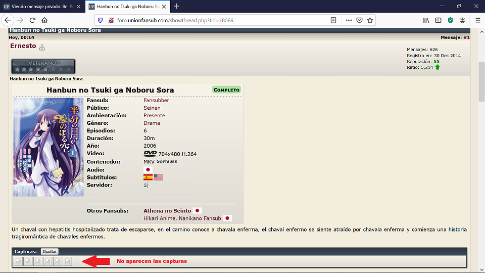 Posible error de visualización de capturas (Captura del error)