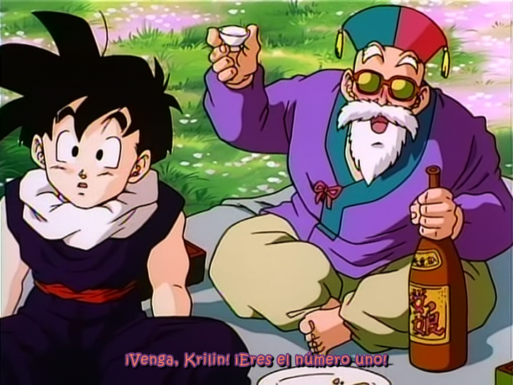 Dragon Ball Z - Película 8: ¡Arde! Una ardiente, intensa y superferoz batalla (EvoShare)