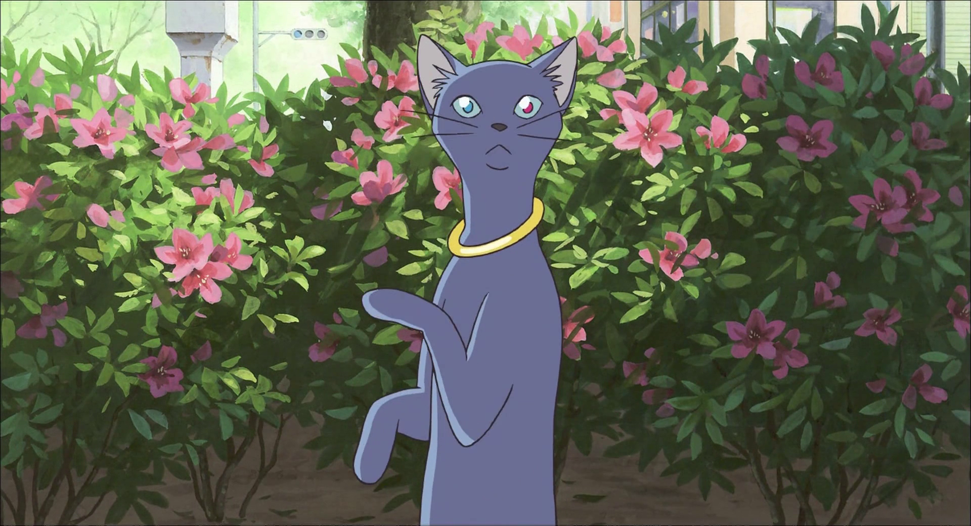 Haru en el reino de los gatos (?)