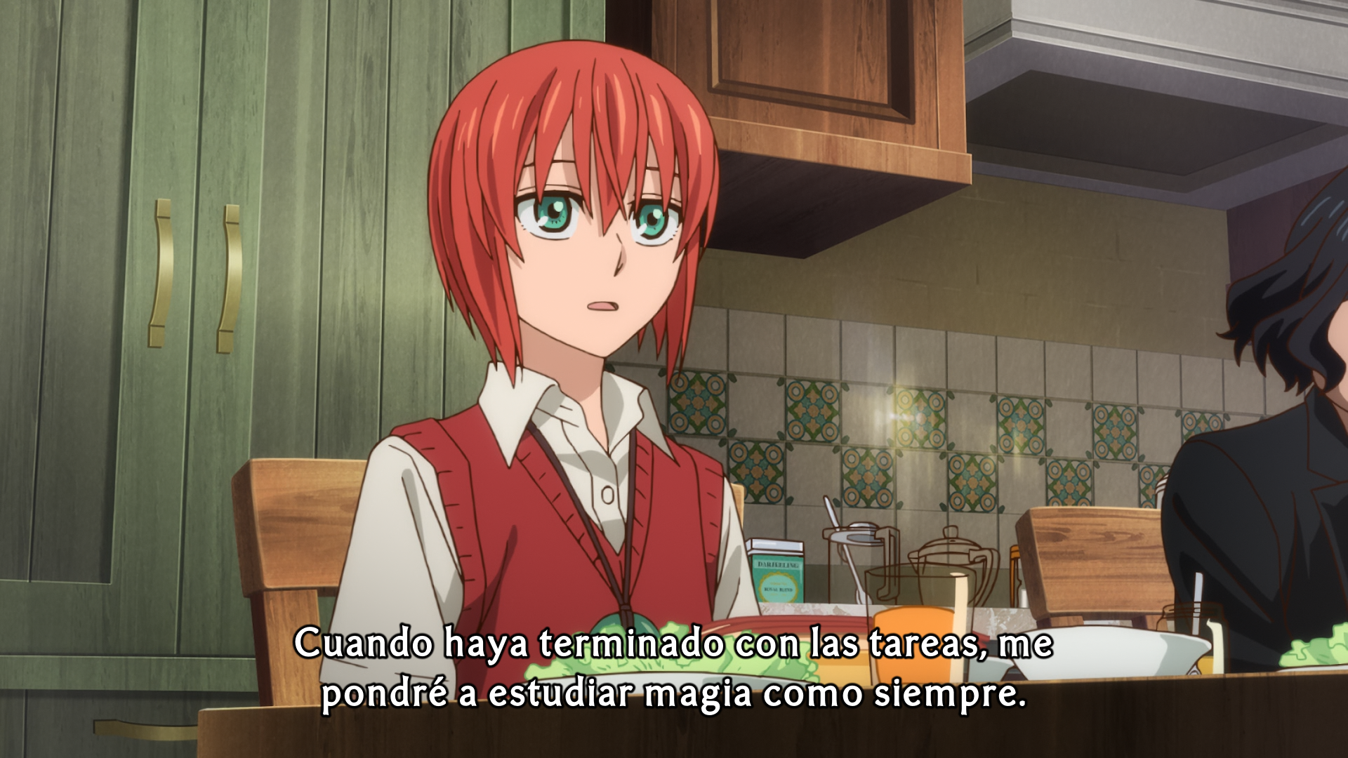 Mahoutsukai no Yome: Hoshi Matsu Hito (SonicoXD)