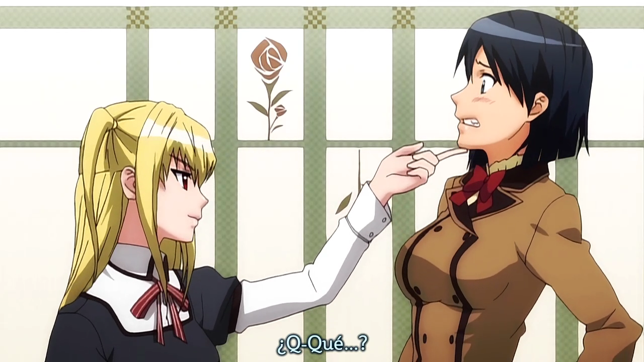 Maria † Holic (Nine Tails Fansub)