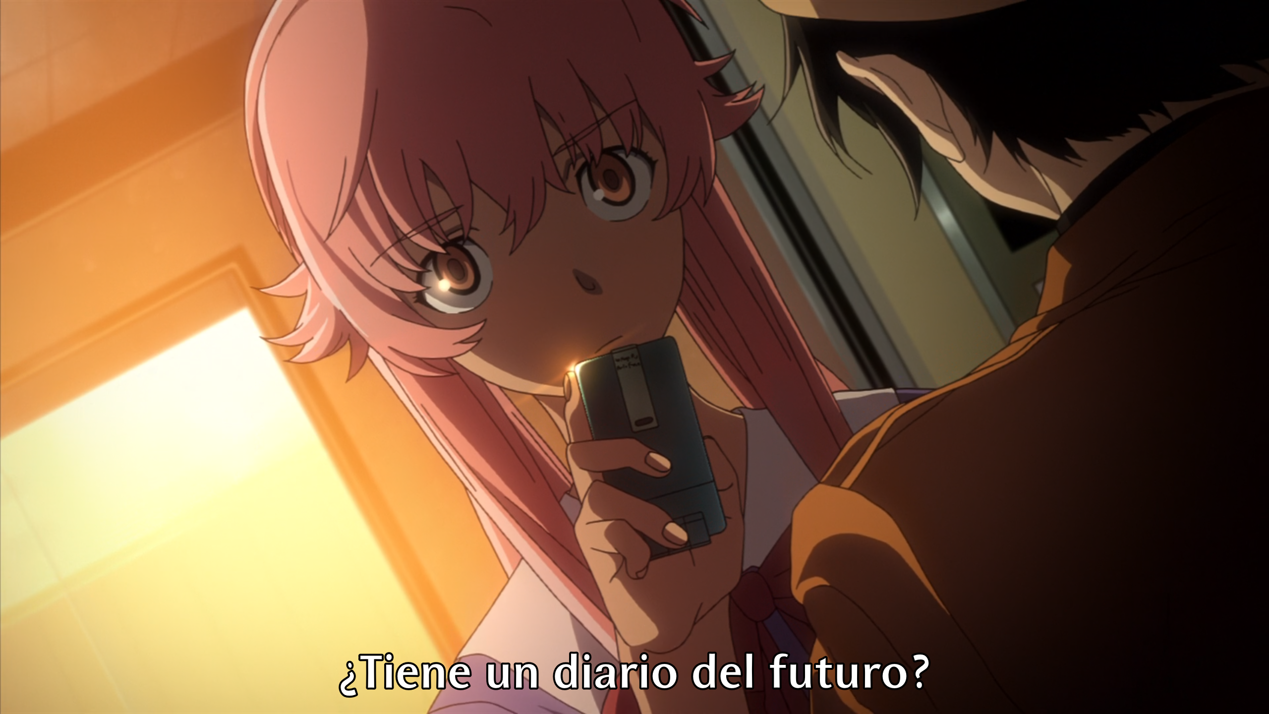 Mirai Nikki (?)