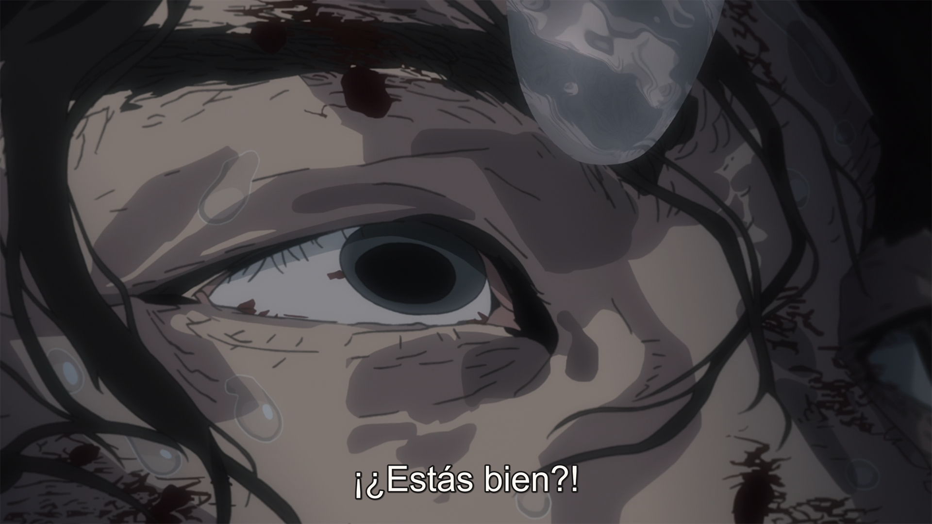 Mushoku Tensei: Isekai Ittara Honki Dasu (Hakoniwa)