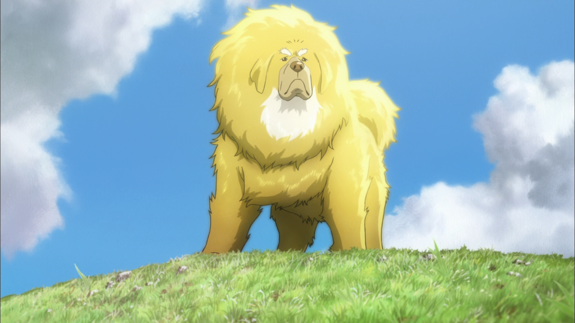 Tibet Inu Monogatari (Backbeard)