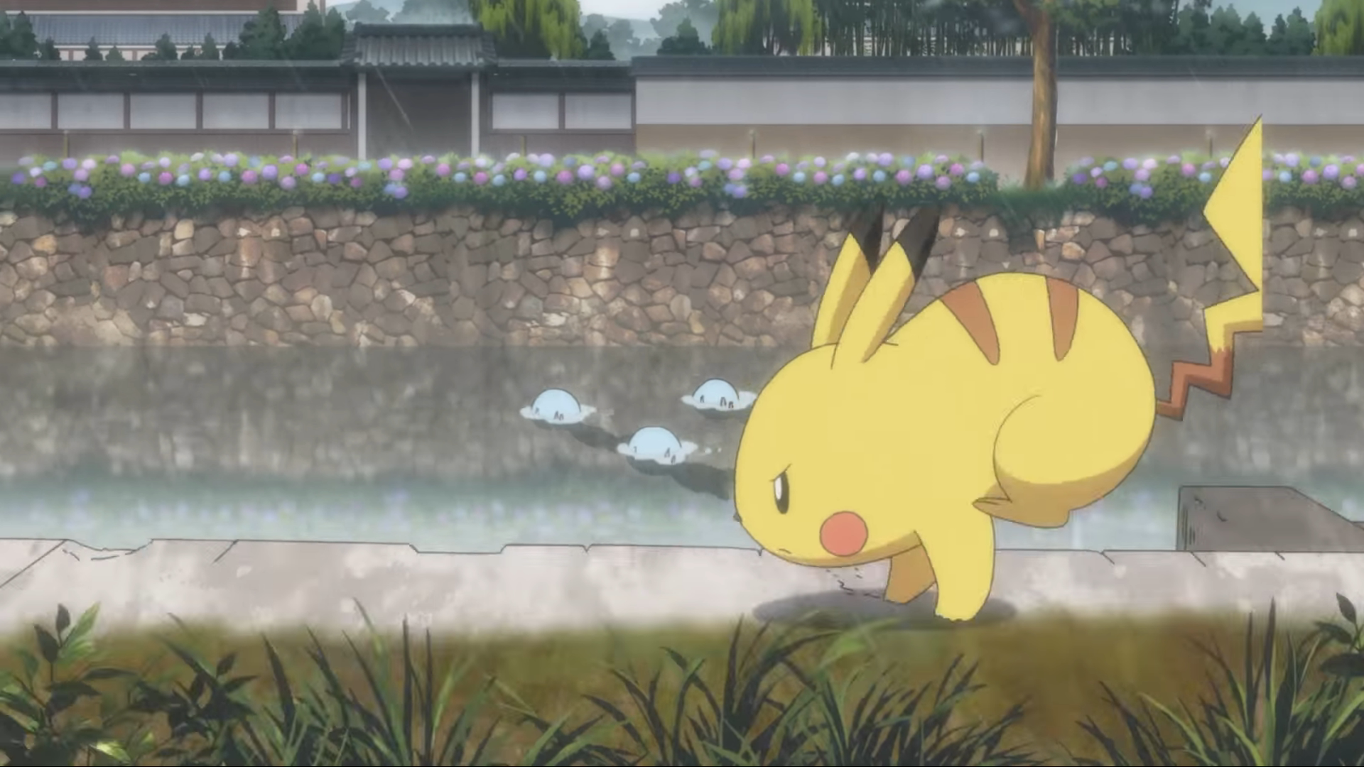 Generaciones Pokémon (adfpF1)