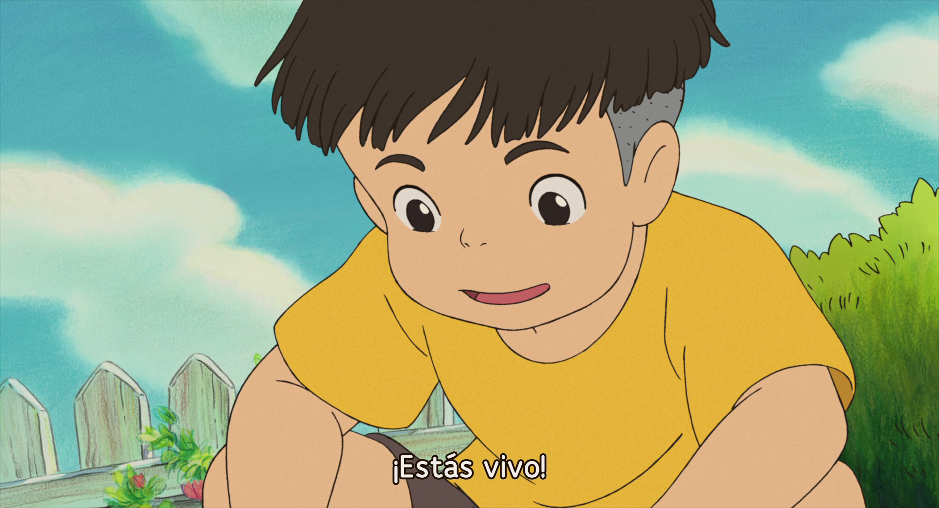 Ponyo en el acantilado (THORA)