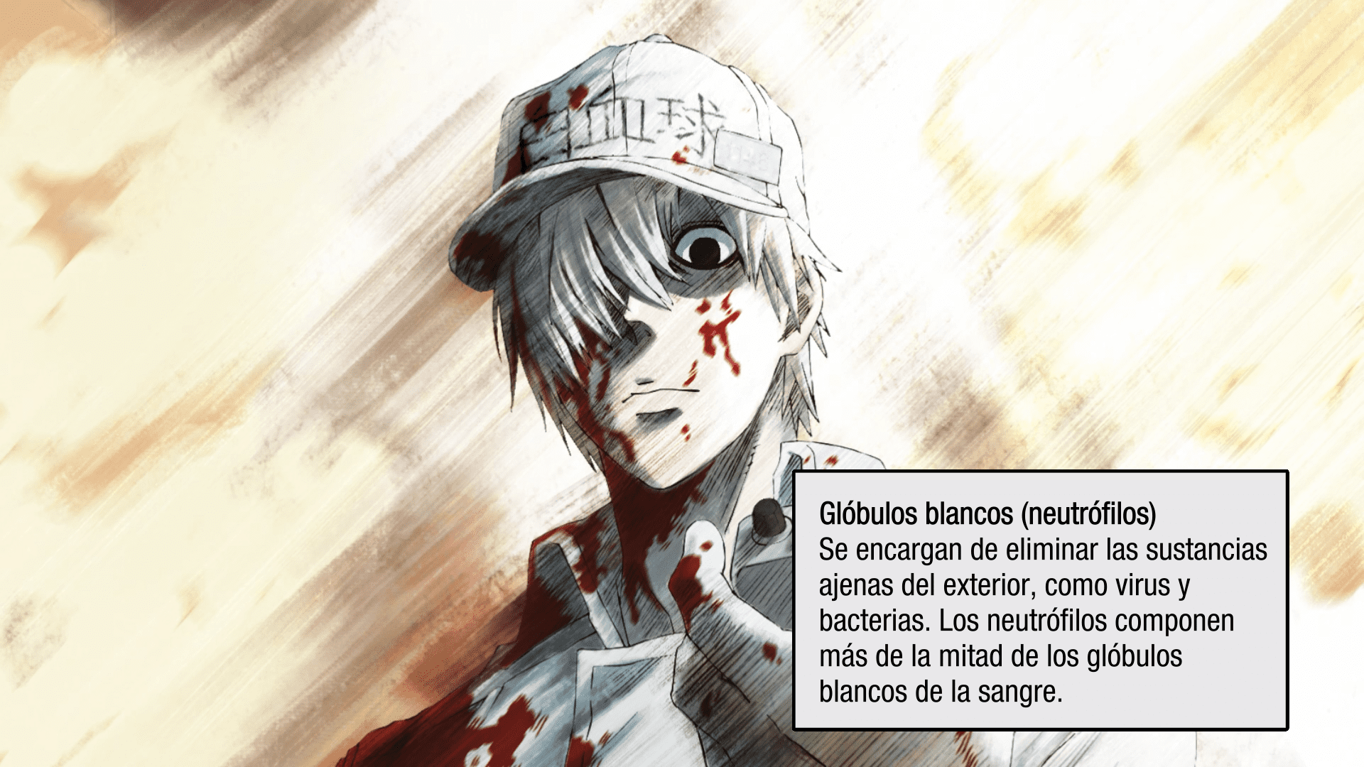 Cells at Work! (Keitaro_XP)