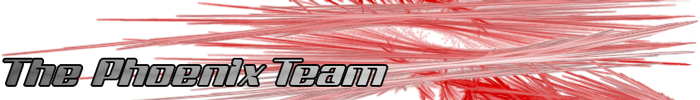 The Phoenix Team