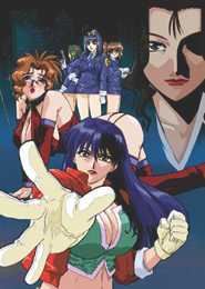 Shin Ban Megami Tantei Vinus File