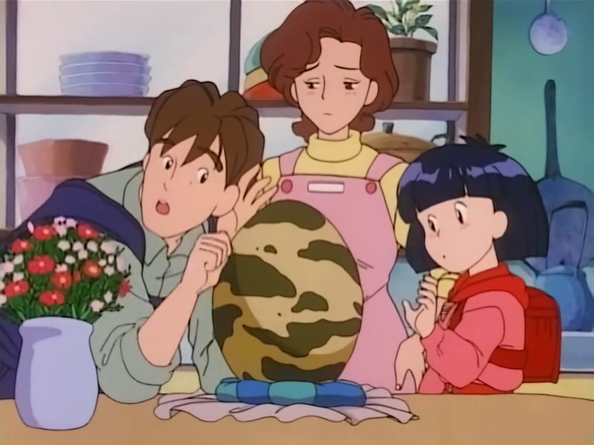 Muka muka paradise (Nocillatv)