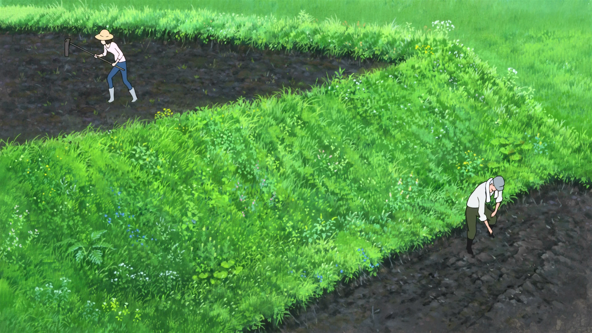 Los Niños Lobo (AnimeHD)