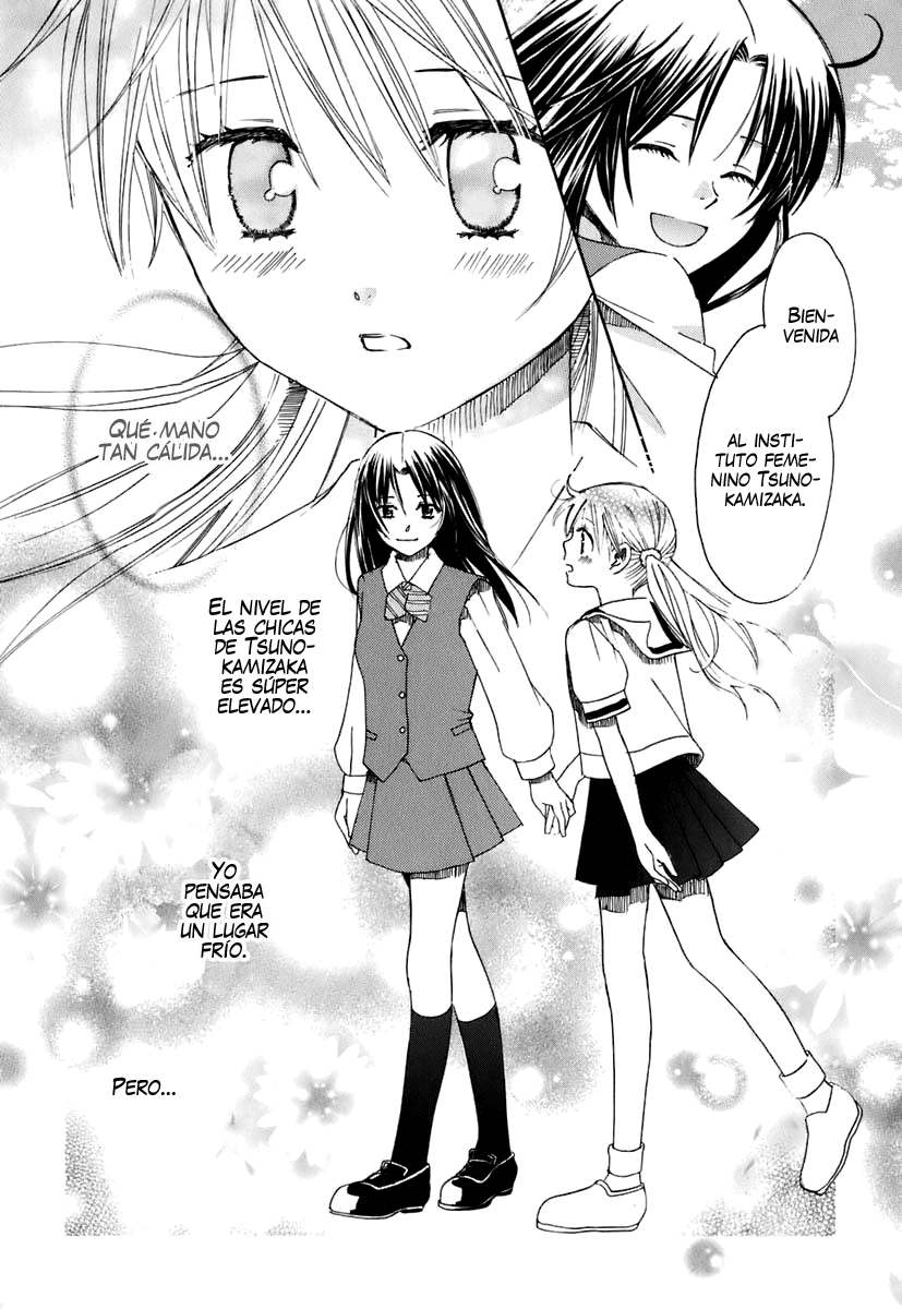 Hatsukoi Shimai (Onion no Fansub, Water Lily Fansub)