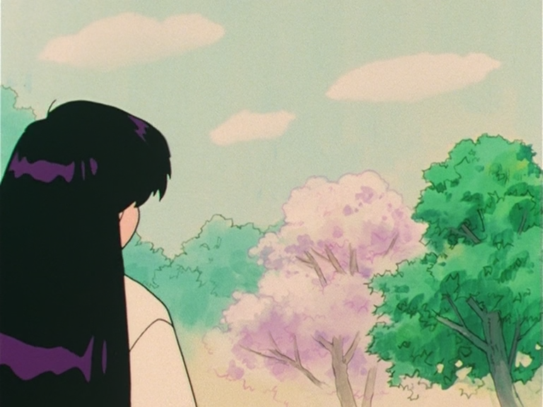 Sailor Moon S (Tonoss)