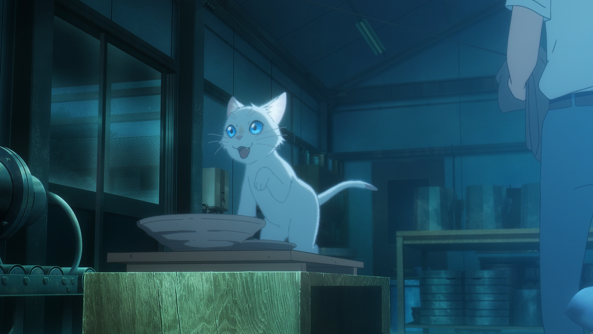 Amor de Gata (Anarchy Subs)